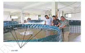 Biofloc fish farming book 3