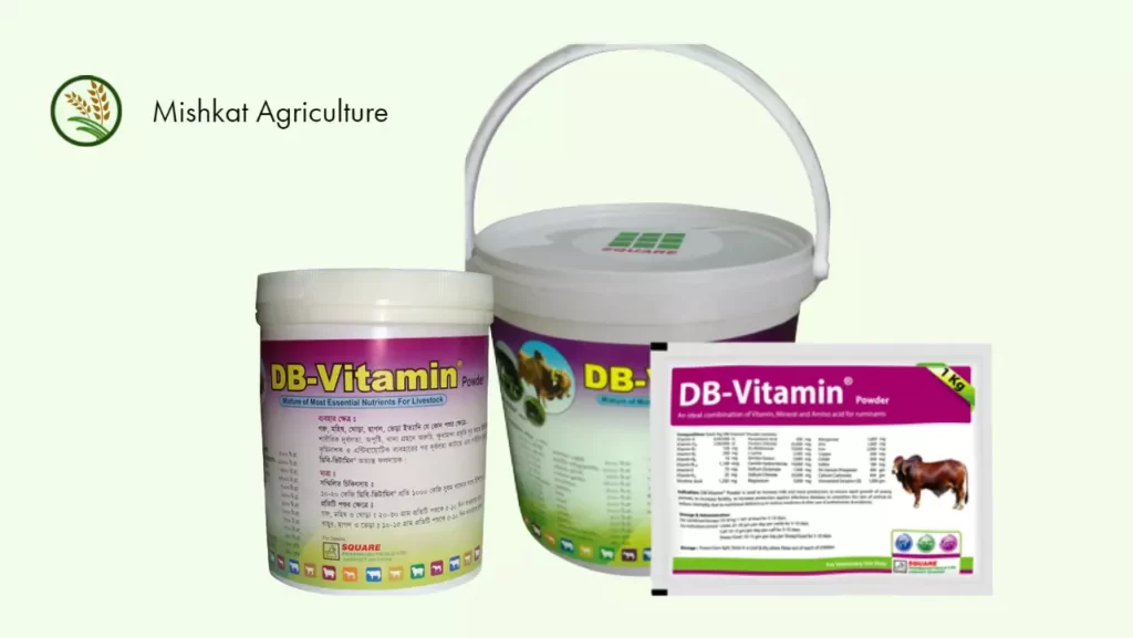ডিবি ভিটামিন পাউডার (db vitamin)
