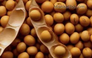 ফুল ফ্যাট সয়াবিন (full fat soybean)