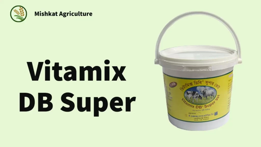 ভিটামিক্স ডিবি (Vitamix DB Super)